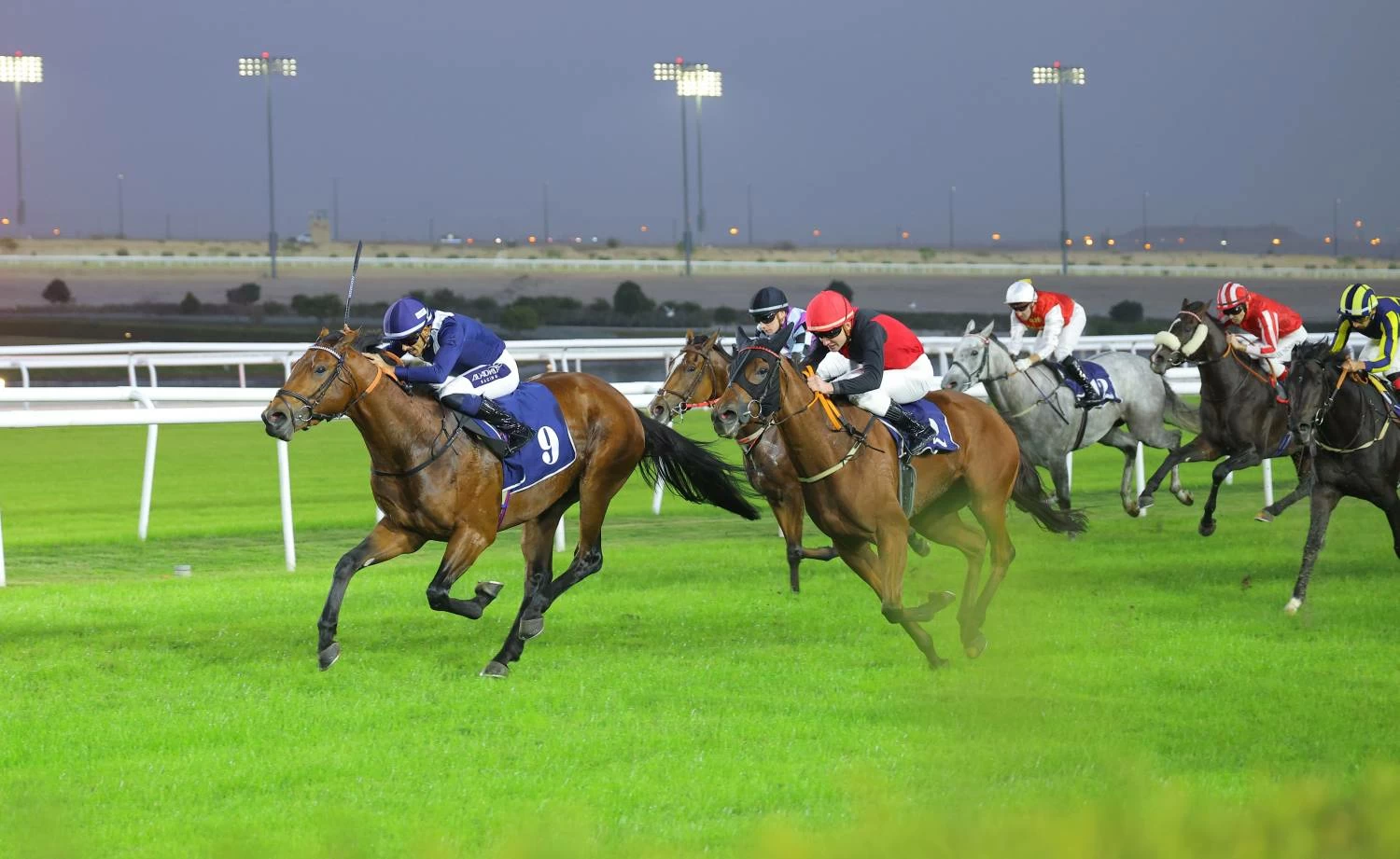 منافسات قوية على كؤوس شركة stc البحرين وجوائز نقدية تنتظر الجمهور