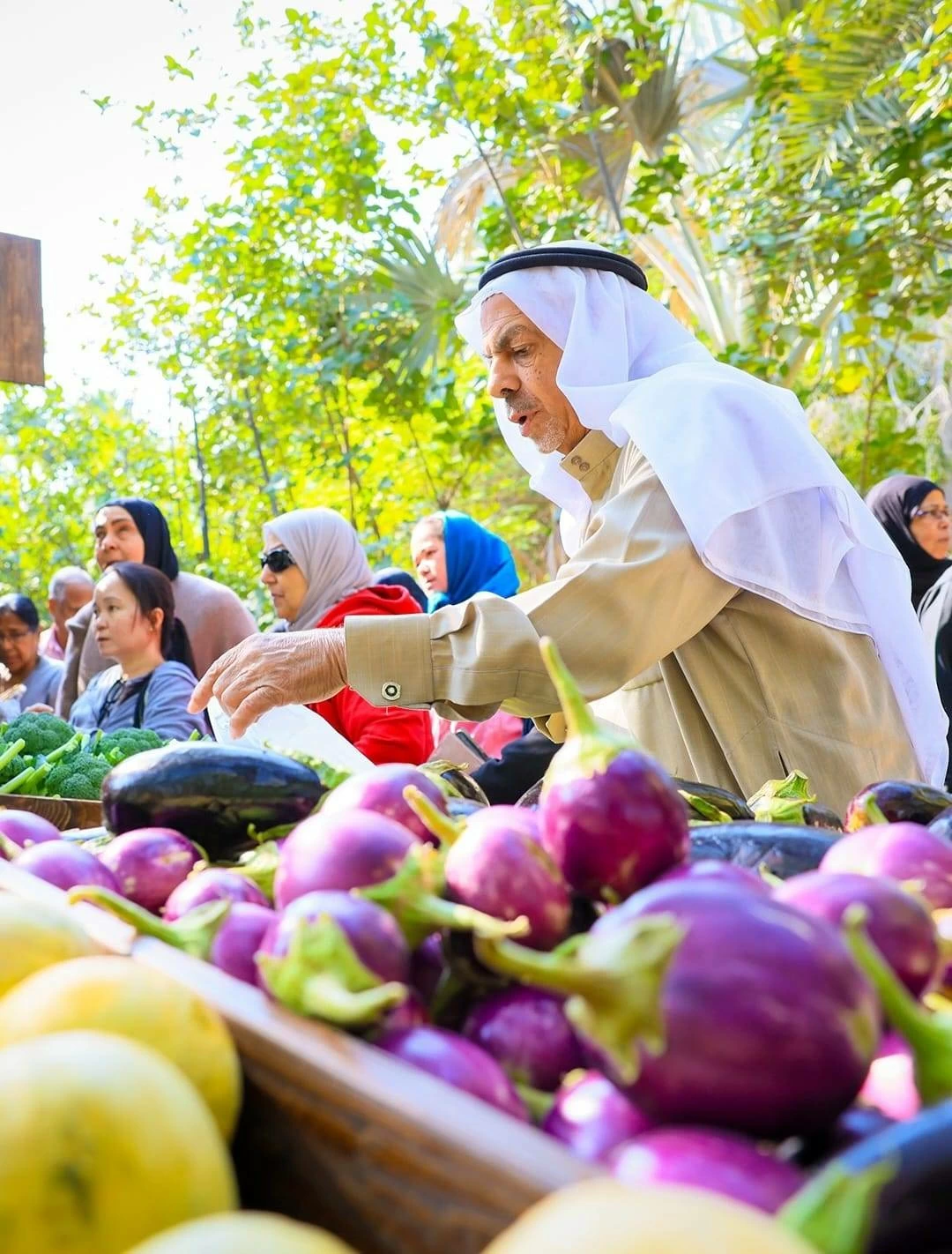 وكيل شؤون الزراعة: سوق المزارعين في البديع منصة متكاملة لدعم الإنتاج المحلي