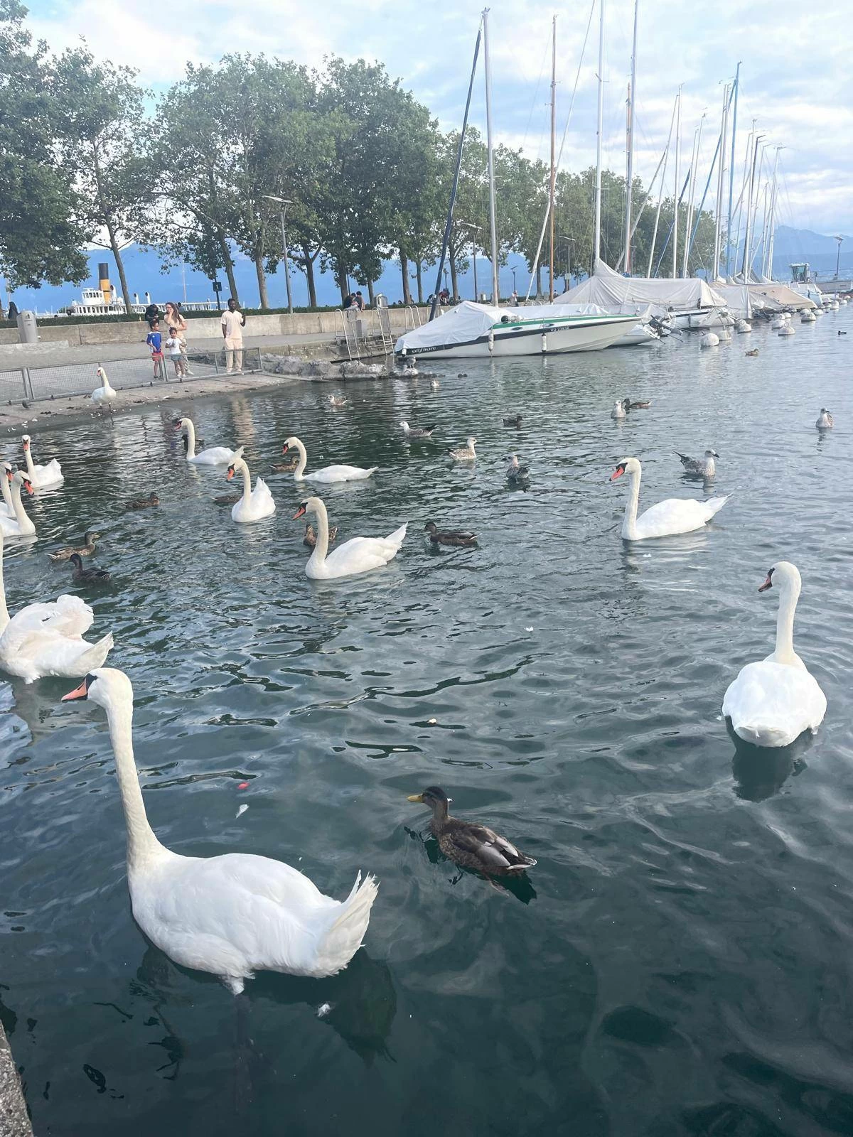 تجمع سحر الطبيعة والتراث والتاريخ سويسرا.. جنة الأرض وأجمل الوجهات السياحية في العالم