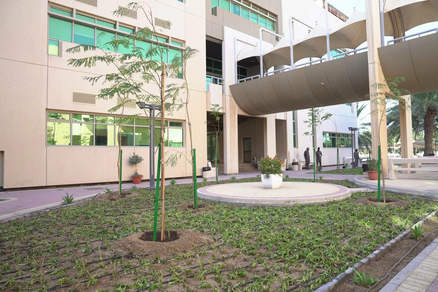 &laquo;دمت خضراء&raquo; تواصل تشجير كلية العلوم في جامعة البحرين بدعم من سفارة الصين