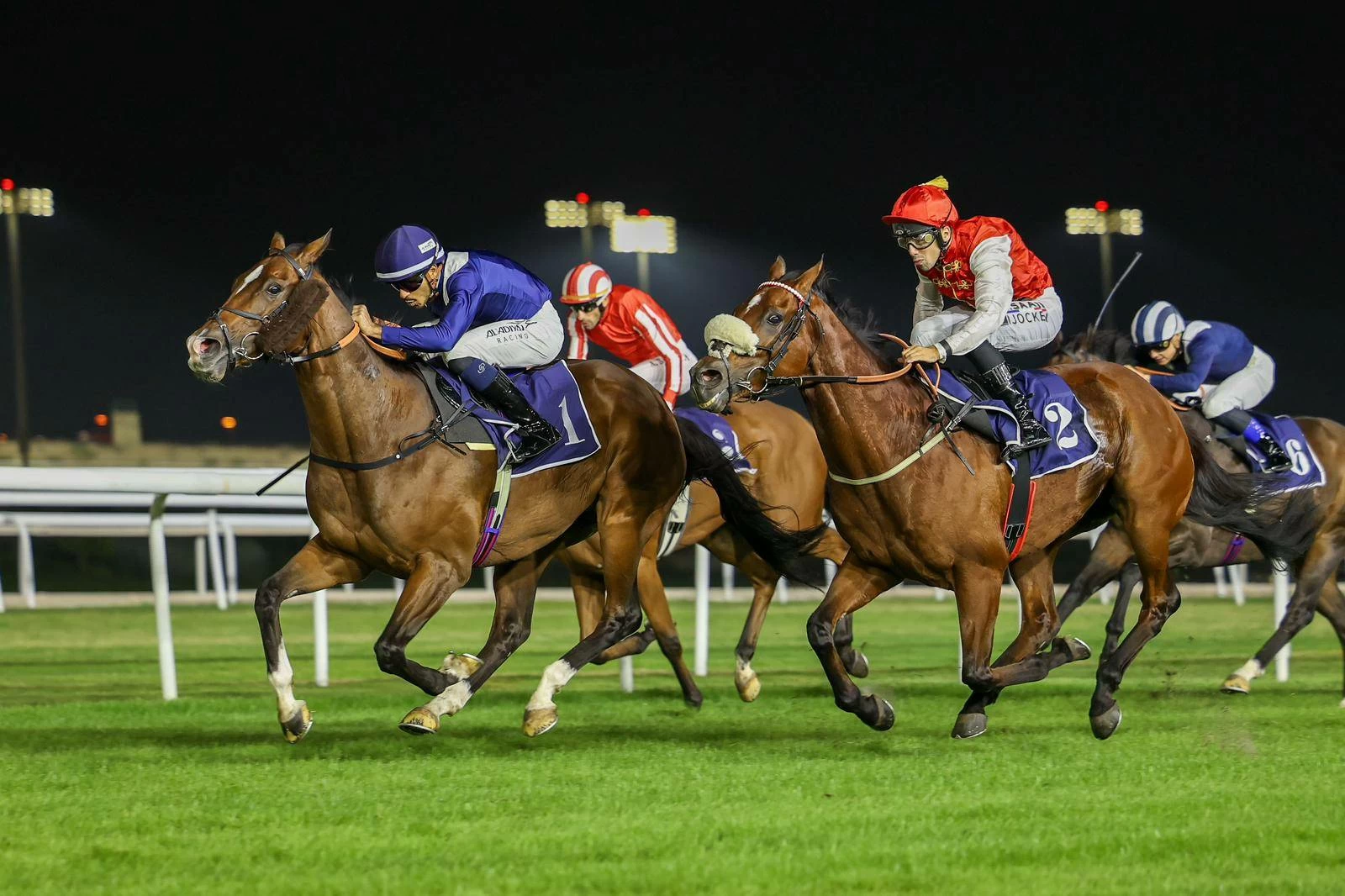 نخبة الجياد تتنافس على كؤوس عيسى بن سلمان بن حمد وأنجاله والعاديات والوسمية وهانتسمان