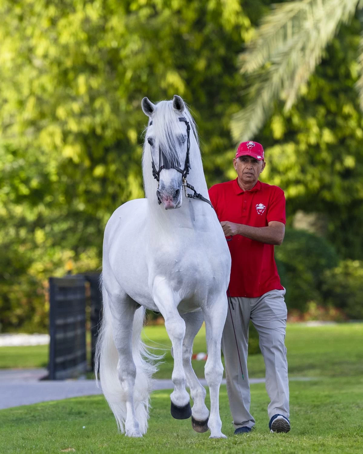الملك يستقبل فخامة رئيس باكستان ويشاهدان عرضًا للخيل الأصيلة