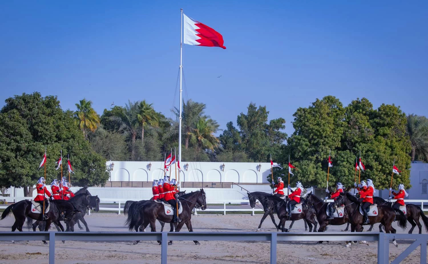 الملك يستقبل فخامة رئيس باكستان ويشاهدان عرضًا للخيل الأصيلة