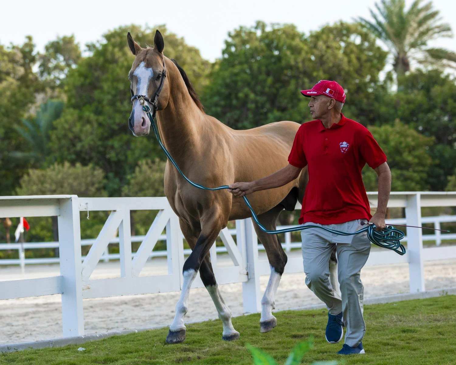 الملك يستقبل فخامة رئيس باكستان ويشاهدان عرضًا للخيل الأصيلة