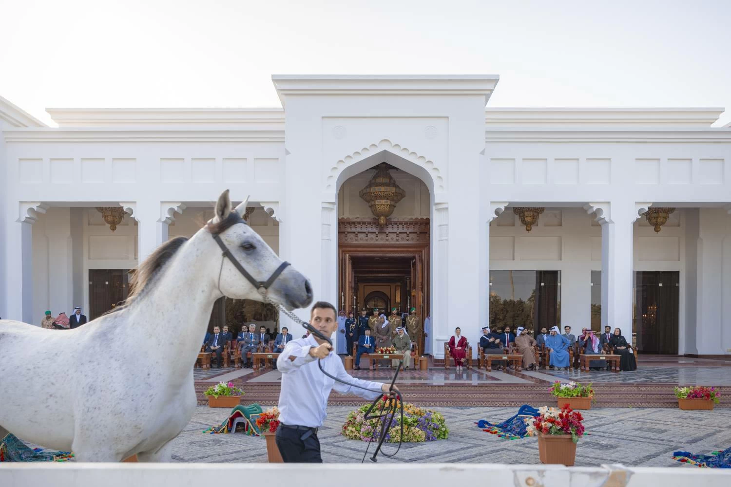 الملك يستقبل فخامة رئيس باكستان ويشاهدان عرضًا للخيل الأصيلة