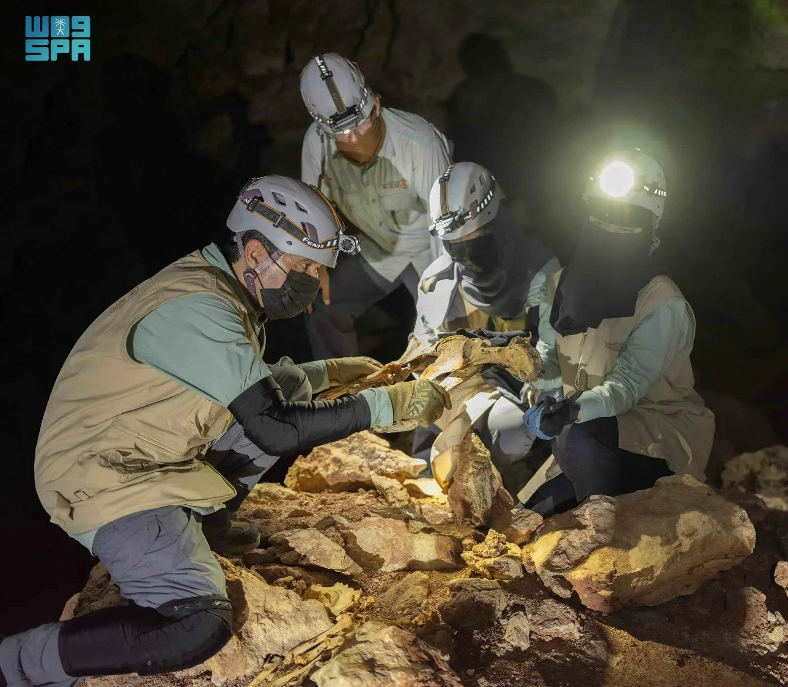 أول اكتشاف لفهود محنطة طبيعياً في كهوف السعودية