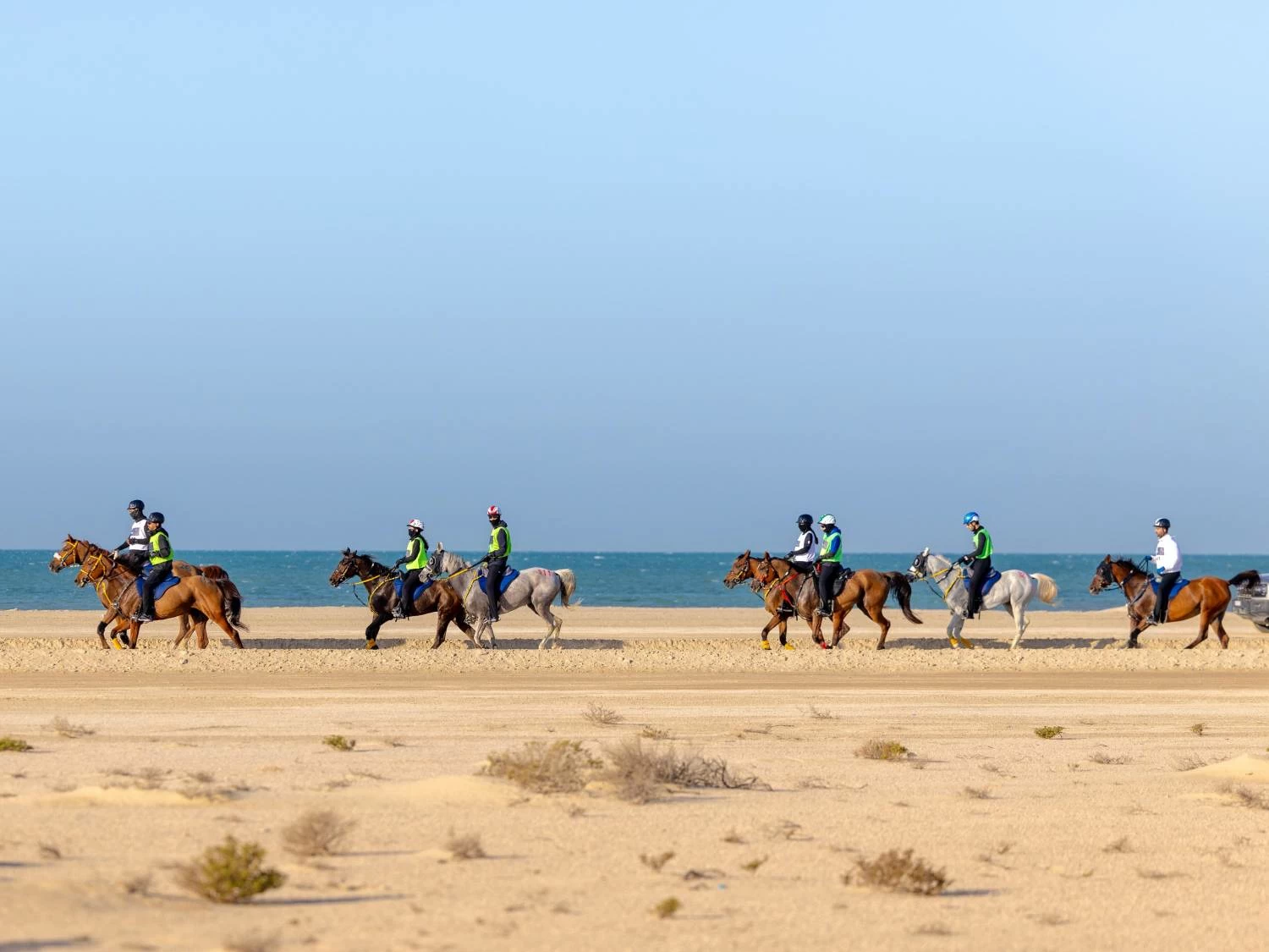 ناصر بن حمد يشارك في بطولة كأس خالد بن حمد للقدرة