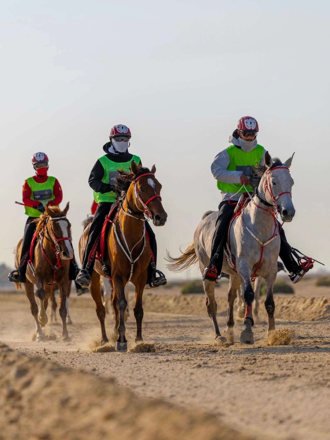 ناصر بن حمد يشارك في بطولة كأس خالد بن حمد للقدرة