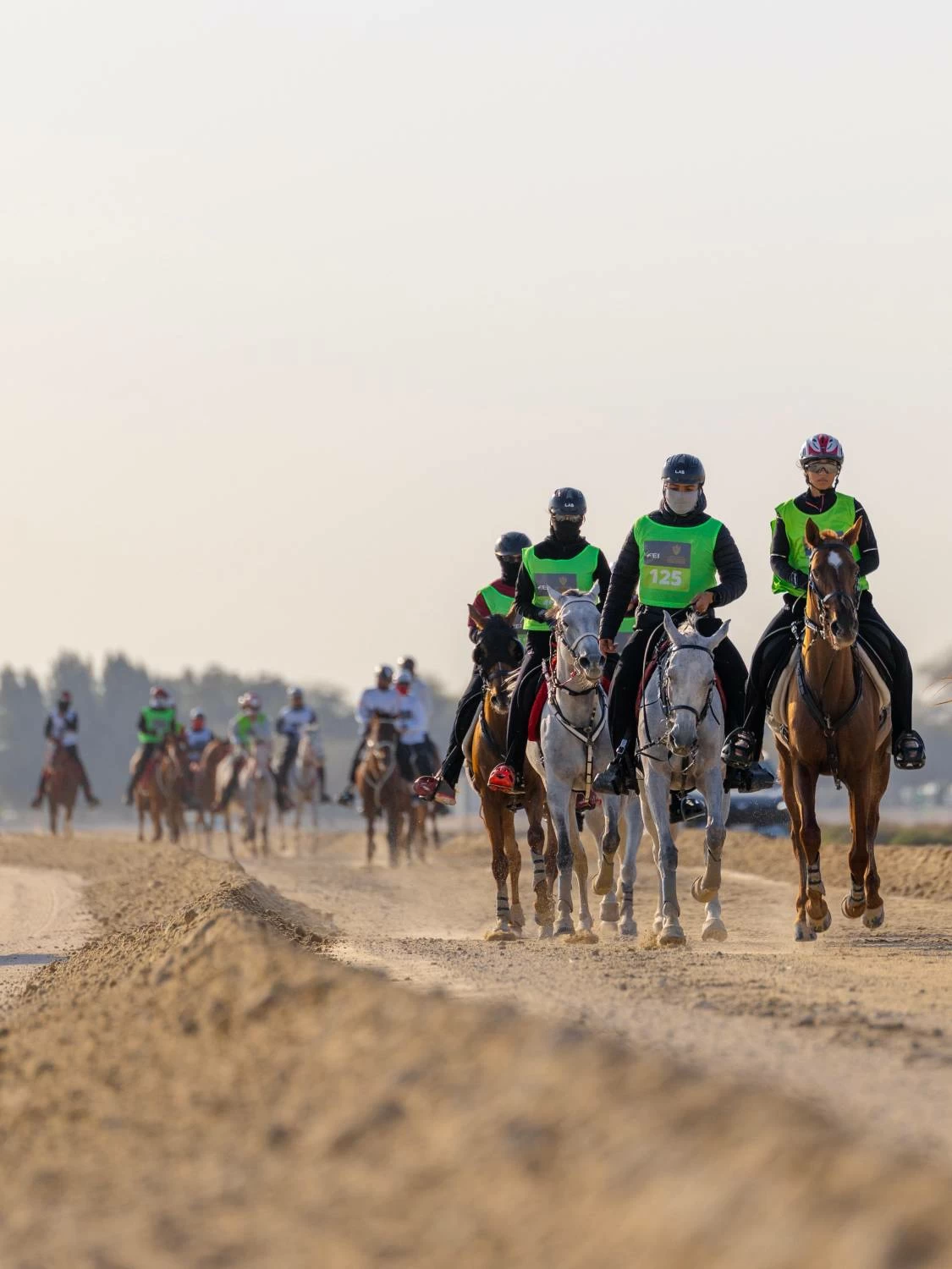 ناصر بن حمد يشارك في بطولة كأس خالد بن حمد للقدرة