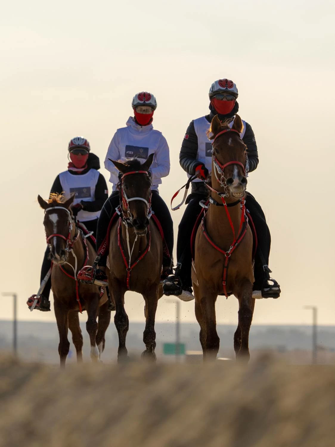 ناصر بن حمد يشارك في بطولة كأس خالد بن حمد للقدرة