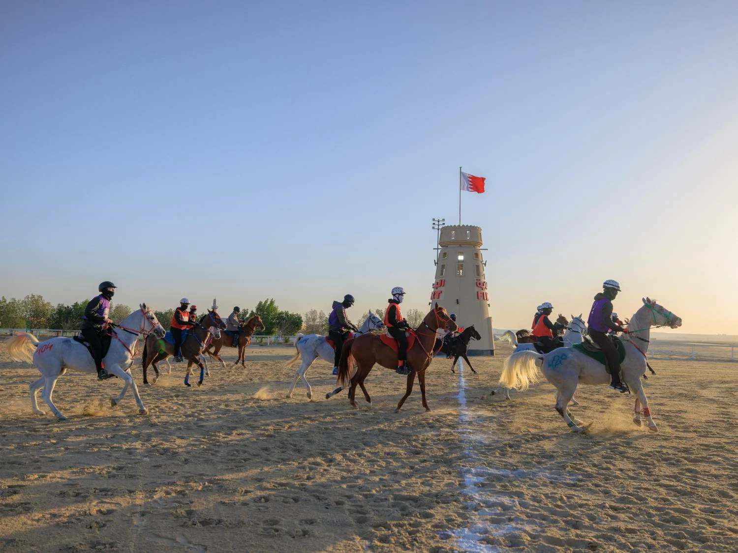 ناصر بن حمد يشارك في بطولة كأس خالد بن حمد للقدرة