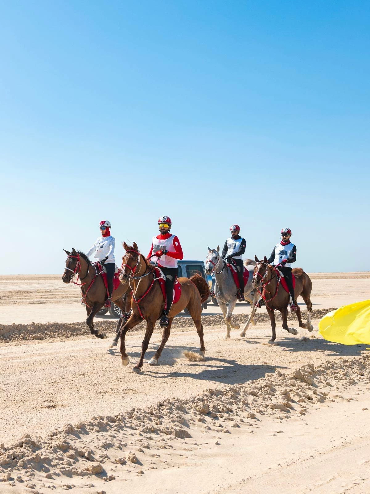 ناصر بن حمد يشارك في بطولة كأس خالد بن حمد للقدرة