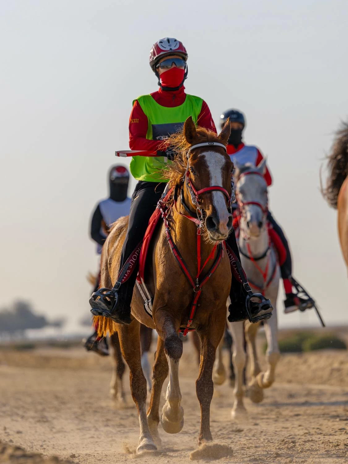 ناصر بن حمد يشارك في بطولة كأس خالد بن حمد للقدرة