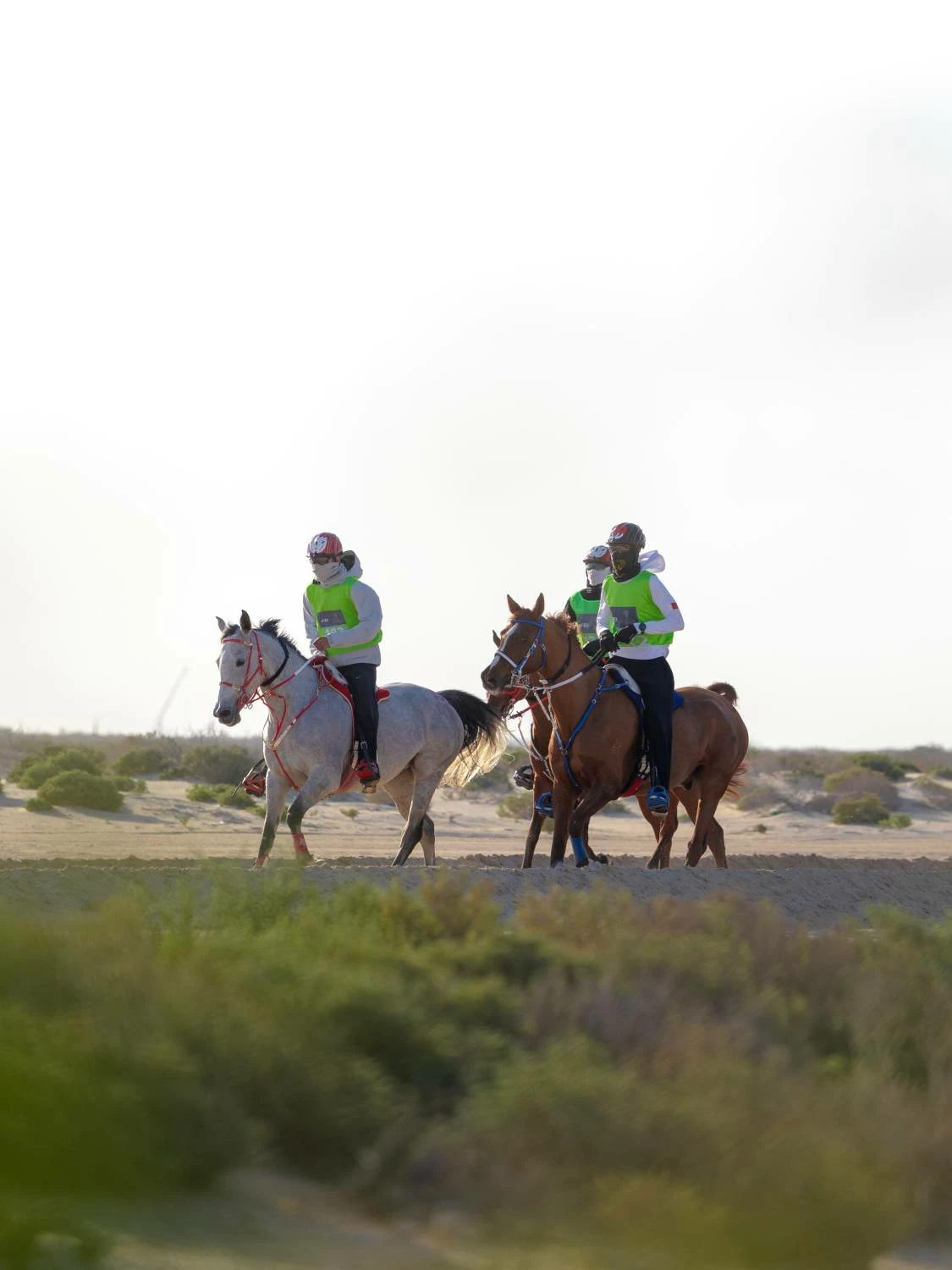 ناصر بن حمد يشارك في بطولة كأس خالد بن حمد للقدرة