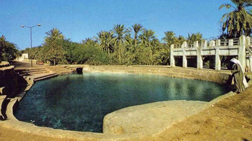 عيون البحرين.. إرث مائي يعد البحرين بترسيخها مقصداً سياحياً وبيئياً