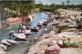 عيون البحرين.. إرث مائي يعد البحرين بترسيخها مقصداً سياحياً وبيئياً