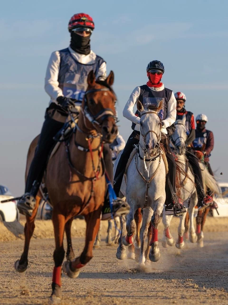 ختام ناجح لبطولة كأس سمو الشيخ خالد بن حمد آل خليفة لسباقات القدرة