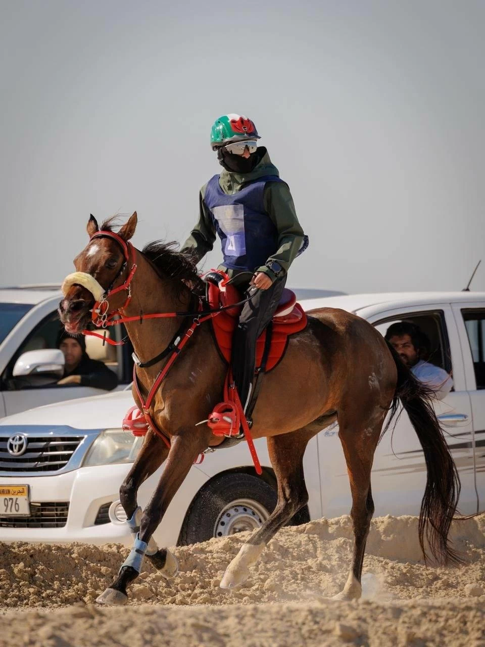 ختام ناجح لبطولة كأس سمو الشيخ خالد بن حمد آل خليفة لسباقات القدرة