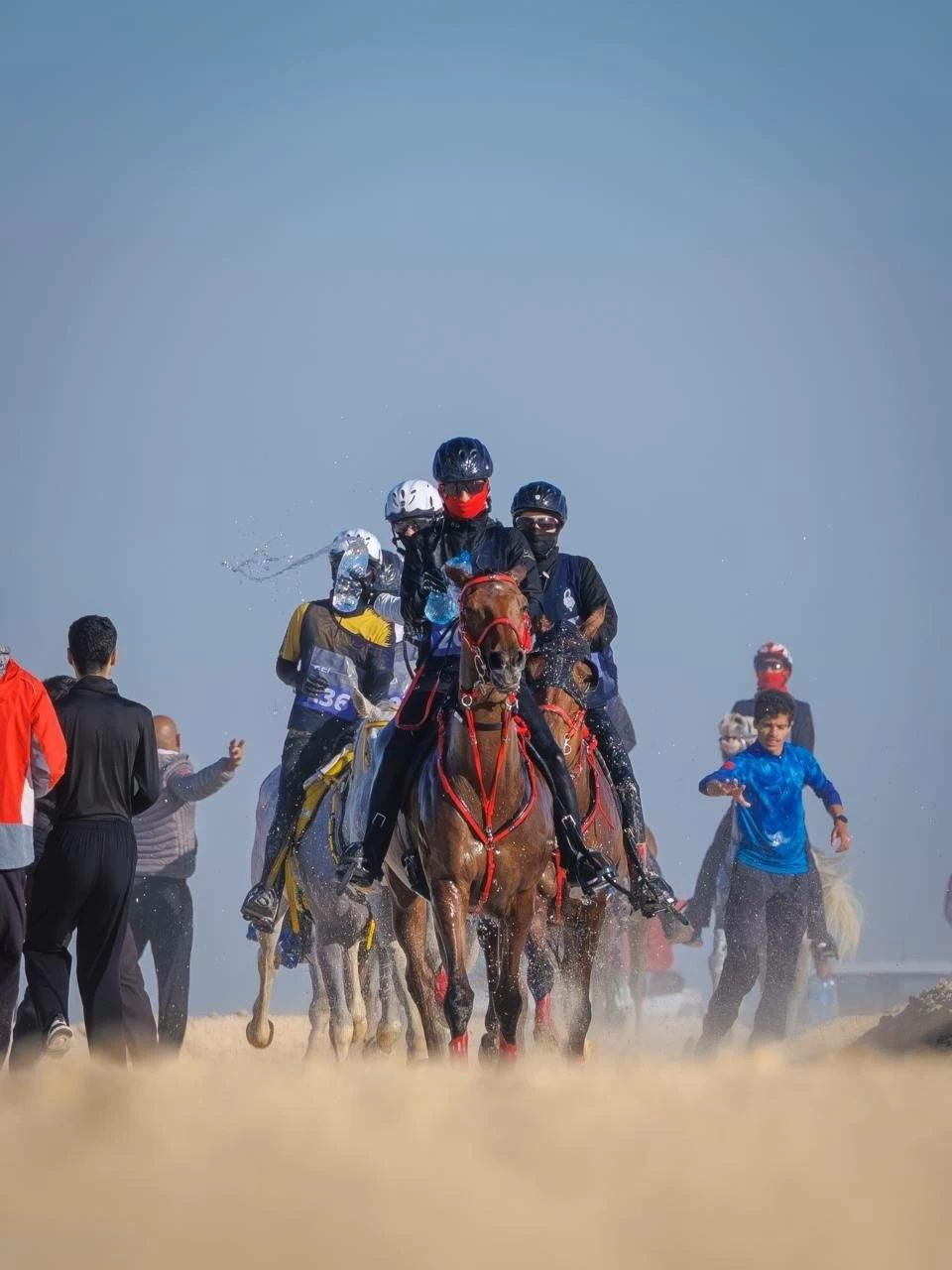 ختام ناجح لبطولة كأس سمو الشيخ خالد بن حمد آل خليفة لسباقات القدرة