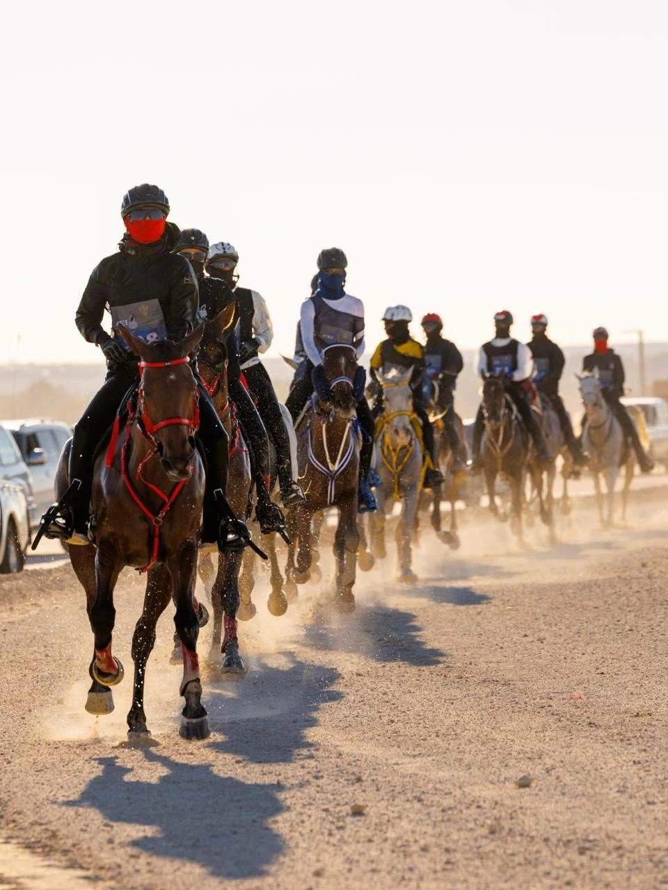 ختام ناجح لبطولة كأس سمو الشيخ خالد بن حمد آل خليفة لسباقات القدرة