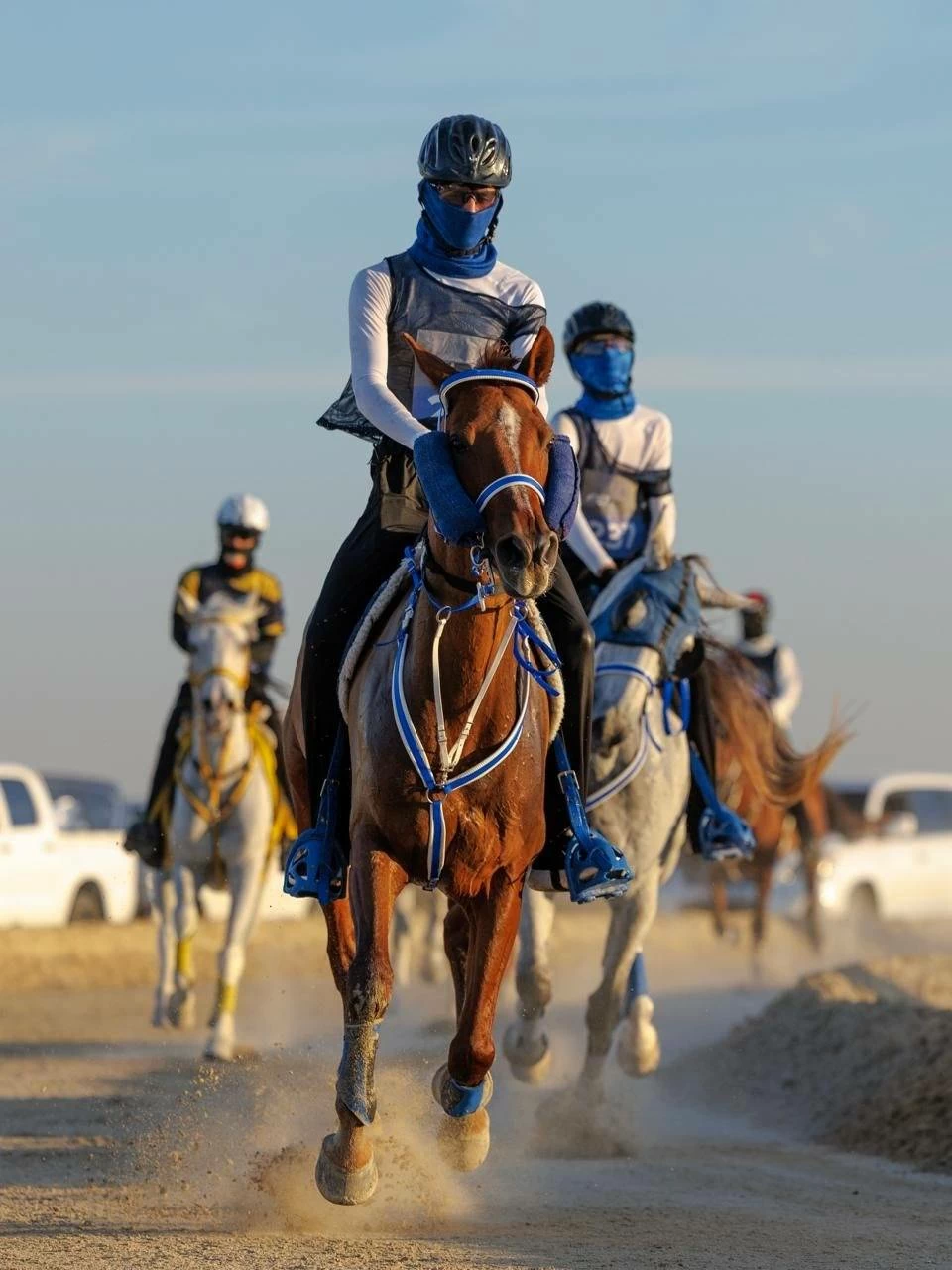 ختام ناجح لبطولة كأس سمو الشيخ خالد بن حمد آل خليفة لسباقات القدرة