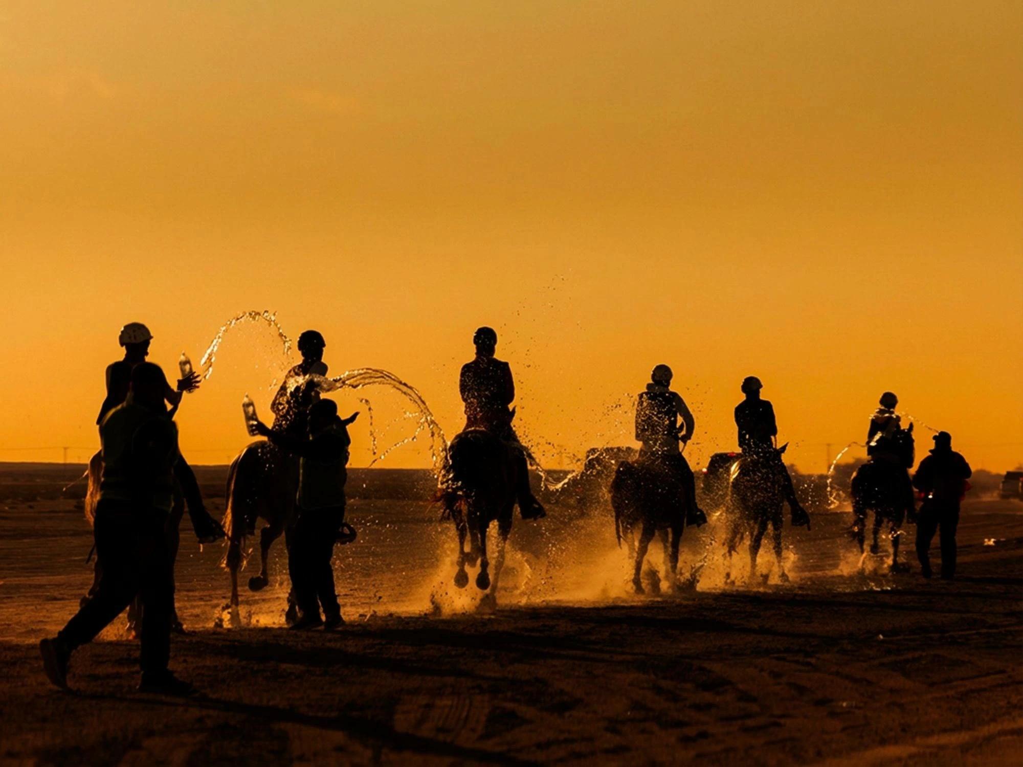 ختام ناجح لبطولة كأس سمو الشيخ خالد بن حمد آل خليفة لسباقات القدرة