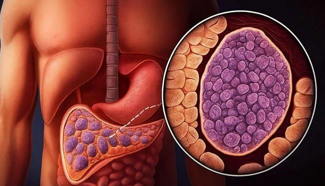 رابعة الهاجري: تجارب علمية لاستعادة بنكرياس مرضى السكري إنتاج الأنسولين