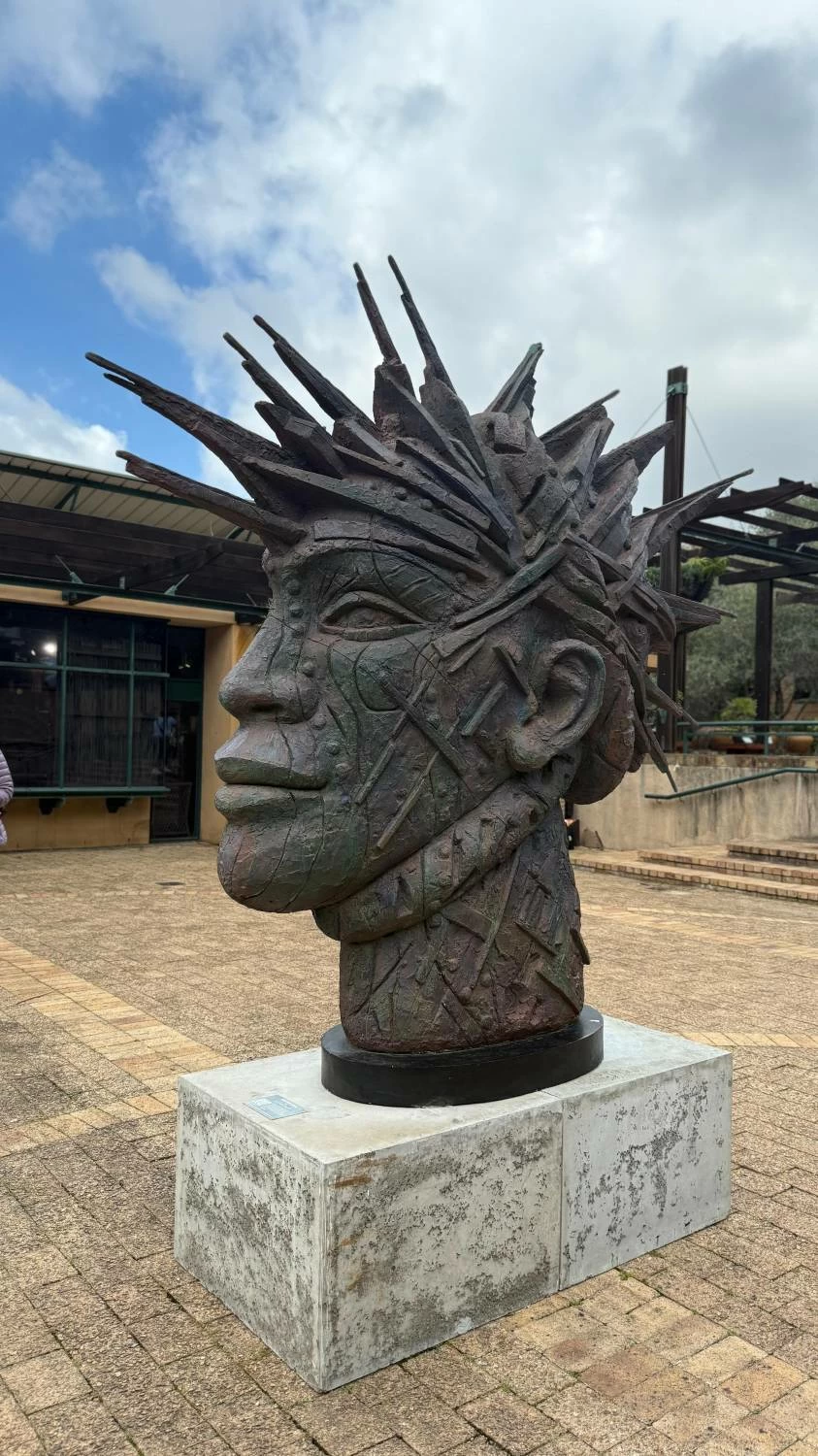 كيب تاون.. تجربة سياحية آسرة لجنوب أفريقيا حيث تلتقي الطبيعة بالتاريخ والثقافة