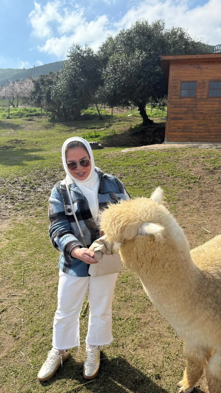 كيب تاون.. تجربة سياحية آسرة لجنوب أفريقيا حيث تلتقي الطبيعة بالتاريخ والثقافة