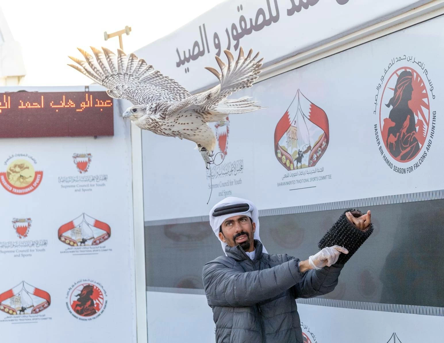 منافسات قوية في أشواط المحترفين بموسم ناصر بن حمد للصقور والصيد