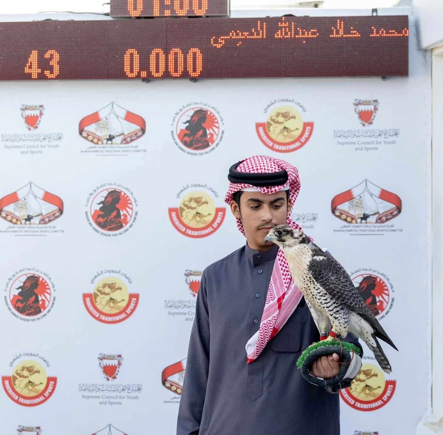 اختتام منافسات الصقور بإقامة أشواط الملاك والصقار الصغير ضمن موسم ناصر بن حمد