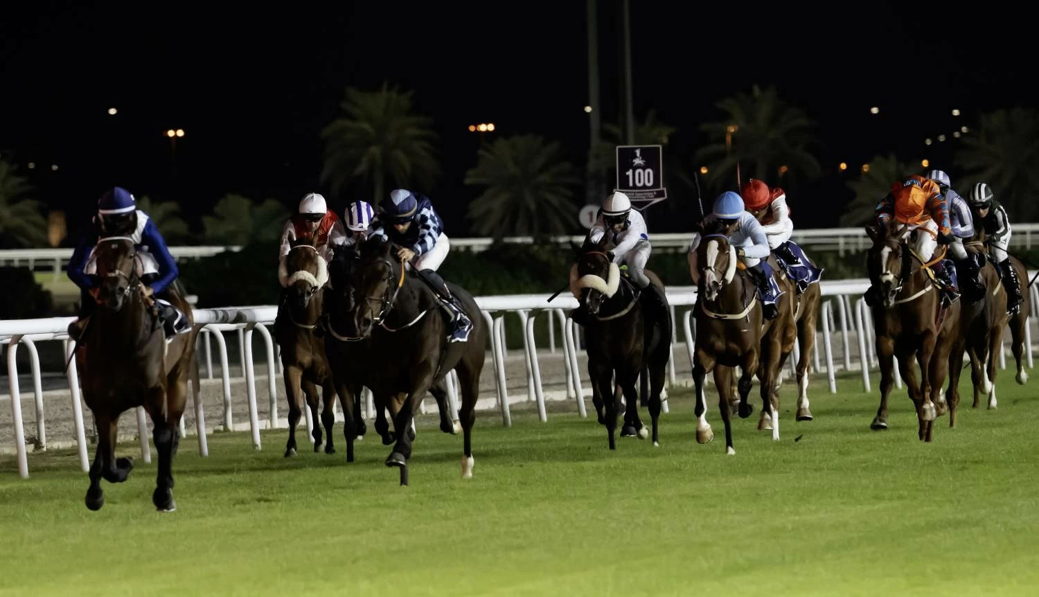 مشاركة كبيرة للجياد وفعاليات متنوعة في أمسية «رويالتي» 