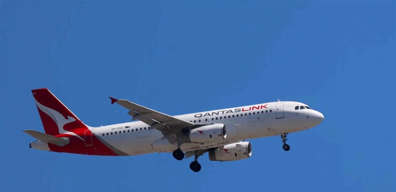 مواجهة مستحيلة في السماء.. طائر يُجبر طائرة على الهبوط مرتين ويؤخر الركاب 6 ساعات