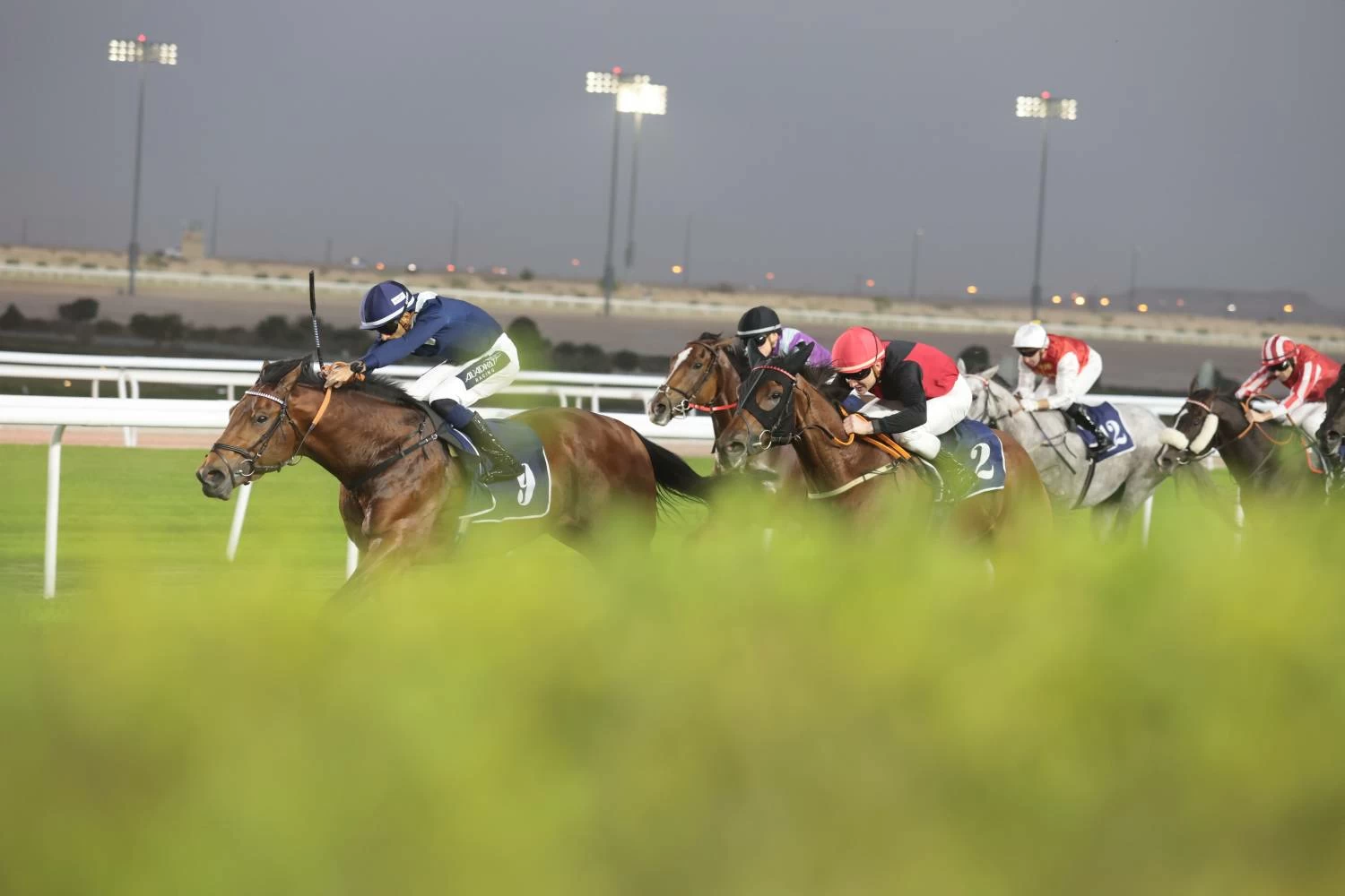 سباقات حافلة وفعاليات متنوعة في أمسية &laquo;رويالتي&raquo;