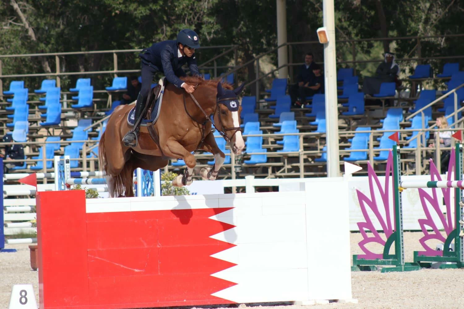 فريق وزارة الداخلية لقفز الحواجز يحقق المركز الأول في المسابقة الكبرى لبطولة &laquo;ألبا&raquo;