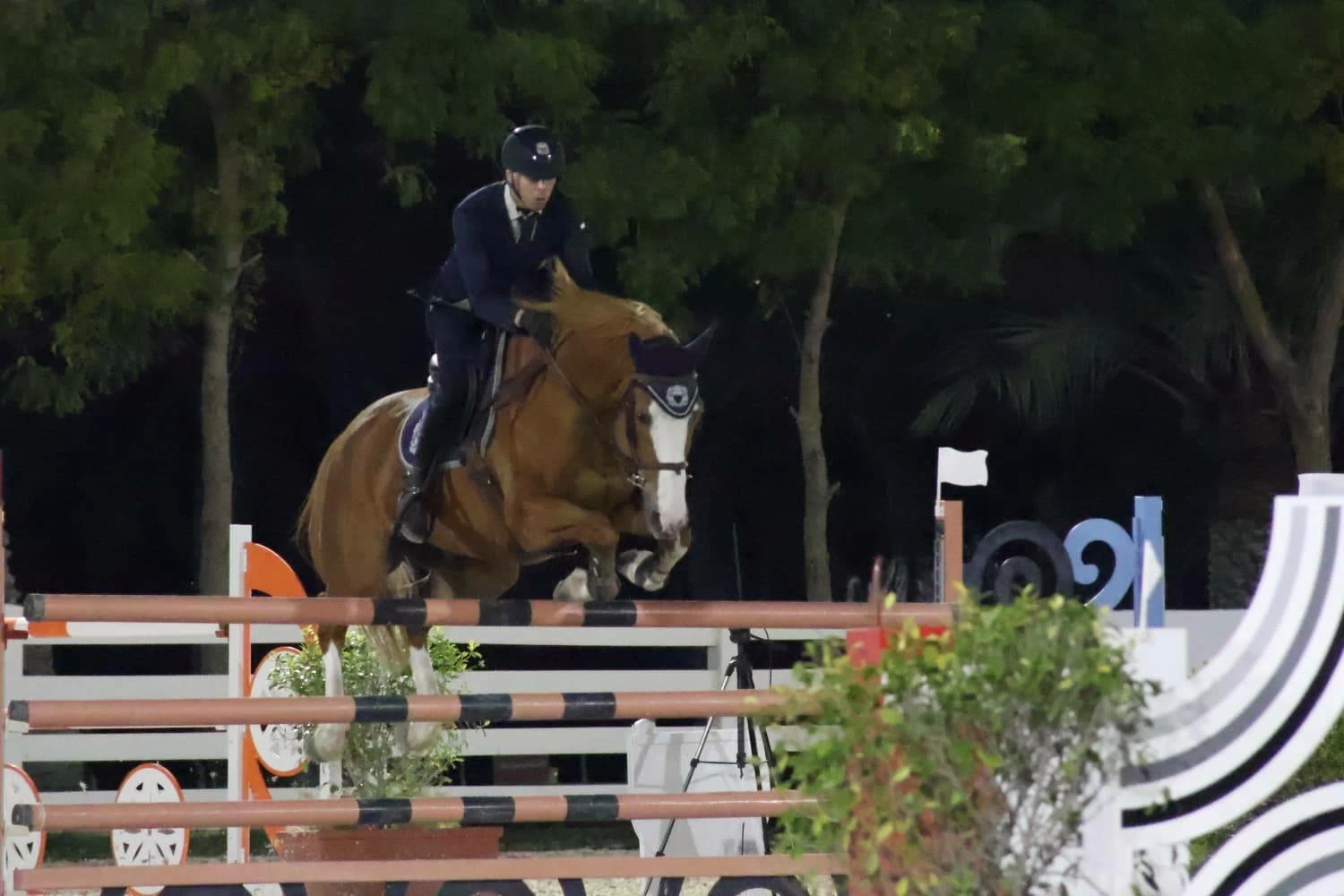 فريق وزارة الداخلية لقفز الحواجز يحقق المركز الأول في المسابقة الكبرى لبطولة &laquo;ألبا&raquo;