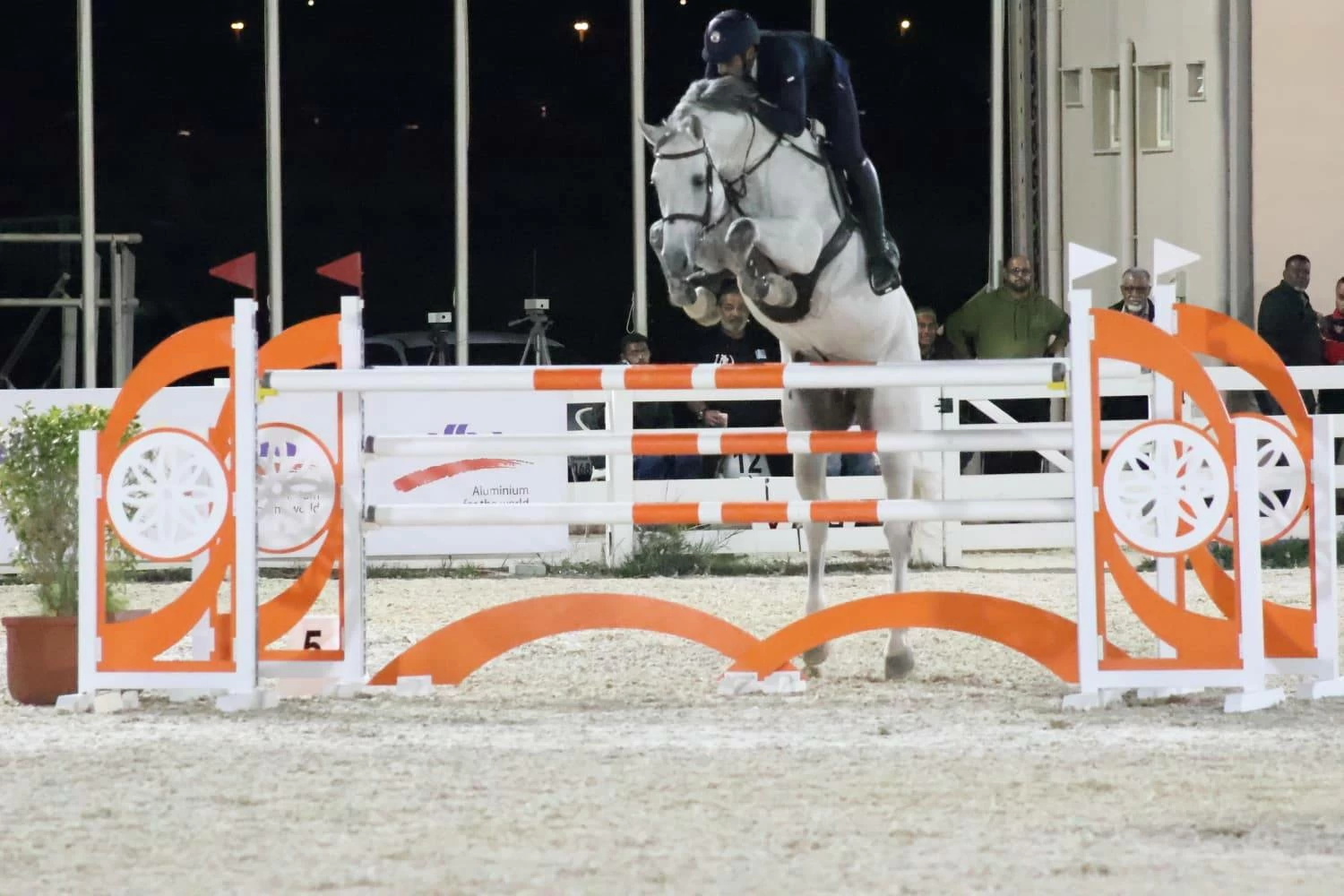 فريق وزارة الداخلية لقفز الحواجز يحقق المركز الأول في المسابقة الكبرى لبطولة &laquo;ألبا&raquo;