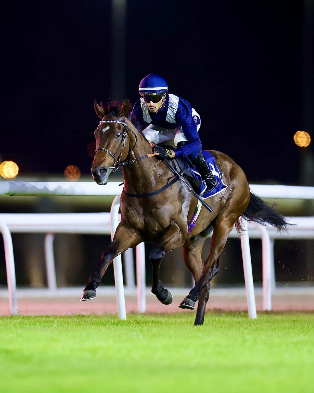 فيصل بن راشد يشهد السباق الـ15 للخيل بنادي راشد للفروسية