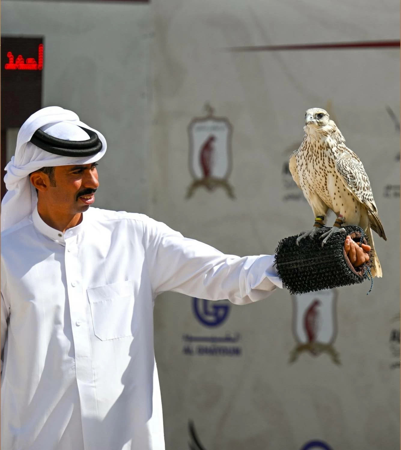 إنجازات بحرينية مميزة في كأس رئيس الدولة الإماراتي للصقور