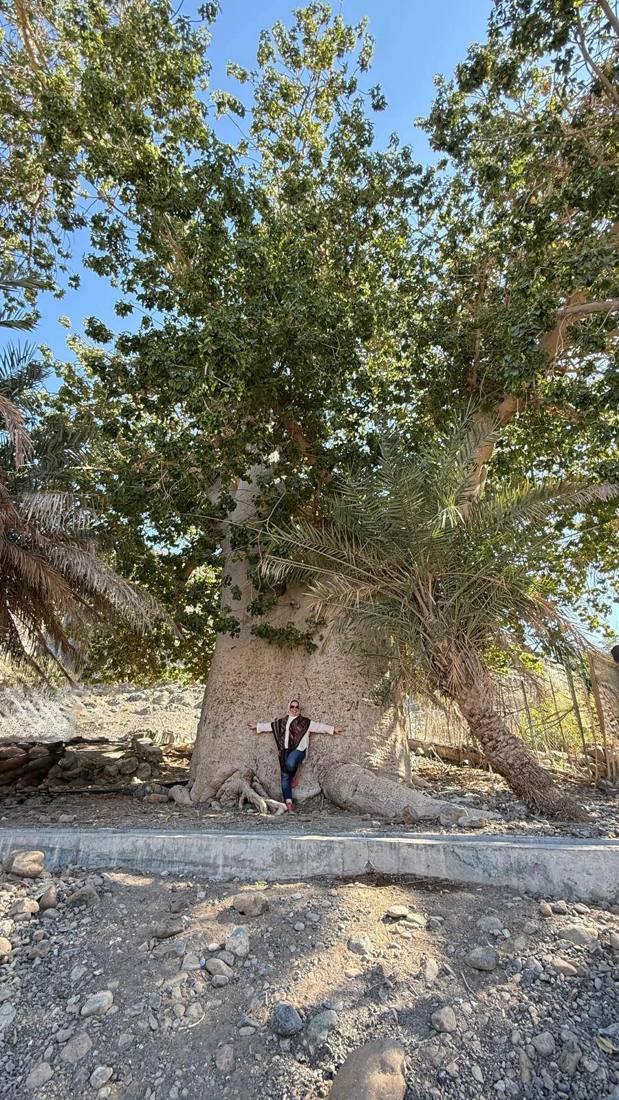 شمال الباطنة... جوهرة عمانية شاهدة على عناق الجبل وزرقة البحر