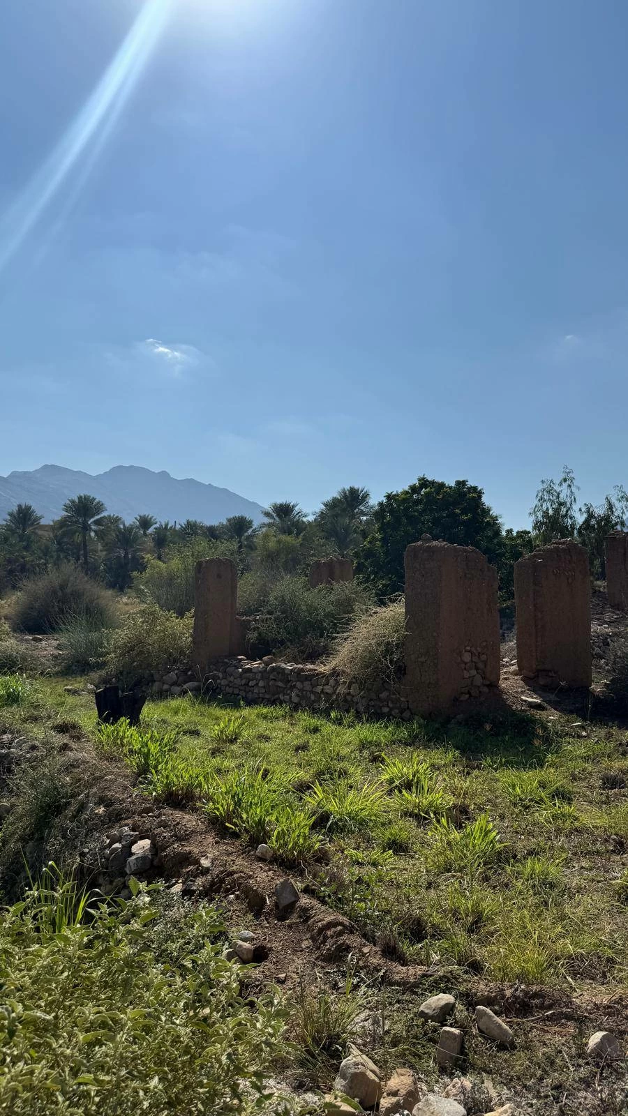 شمال الباطنة... جوهرة عمانية شاهدة على عناق الجبل وزرقة البحر