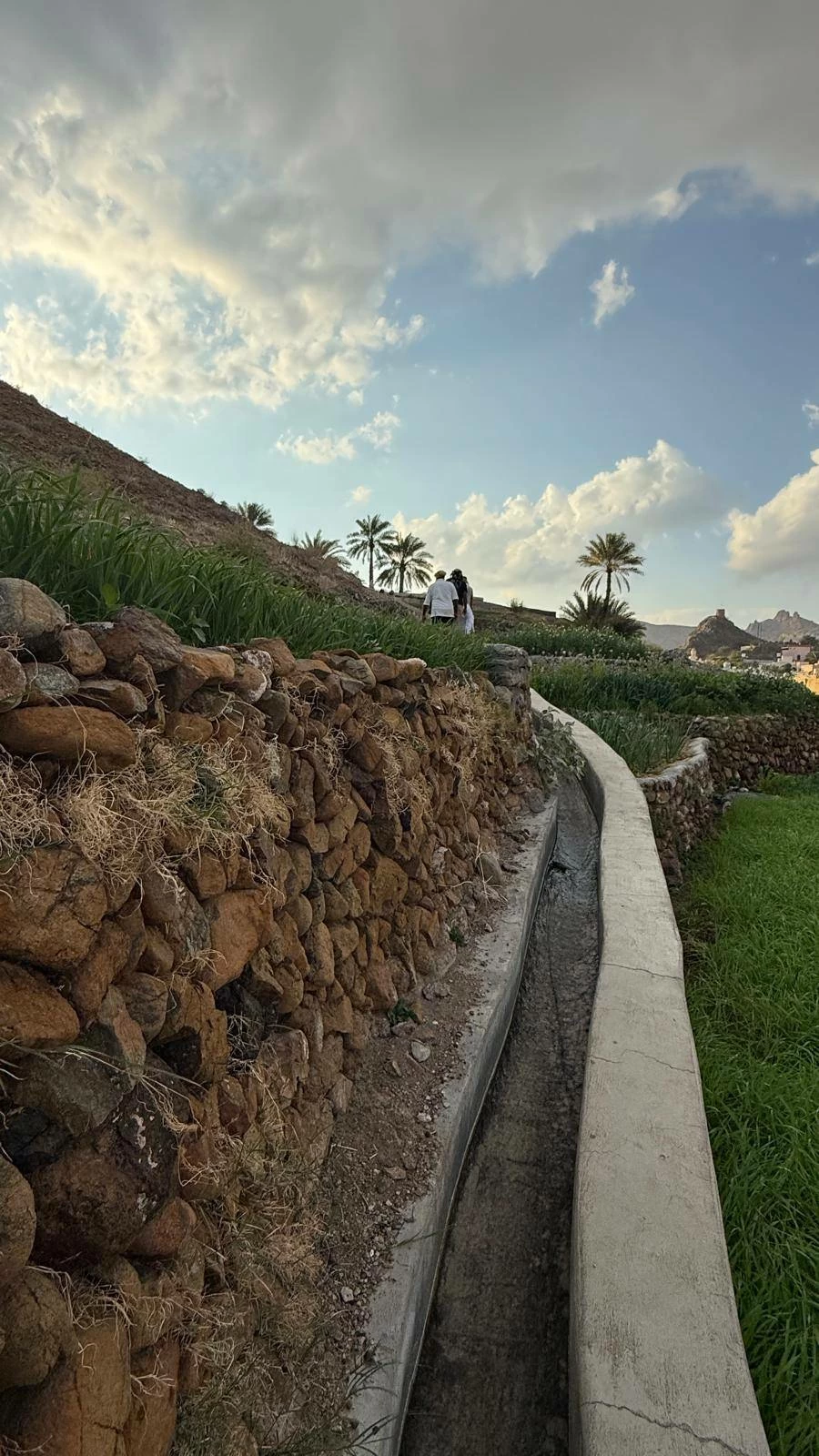 شمال الباطنة... جوهرة عمانية شاهدة على عناق الجبل وزرقة البحر