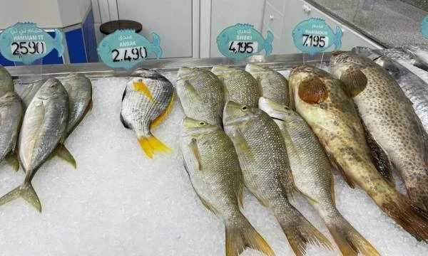 تفاوت شهري بين الأقسام وفروق في مؤشر أسعار المستهلك خلال 2025 