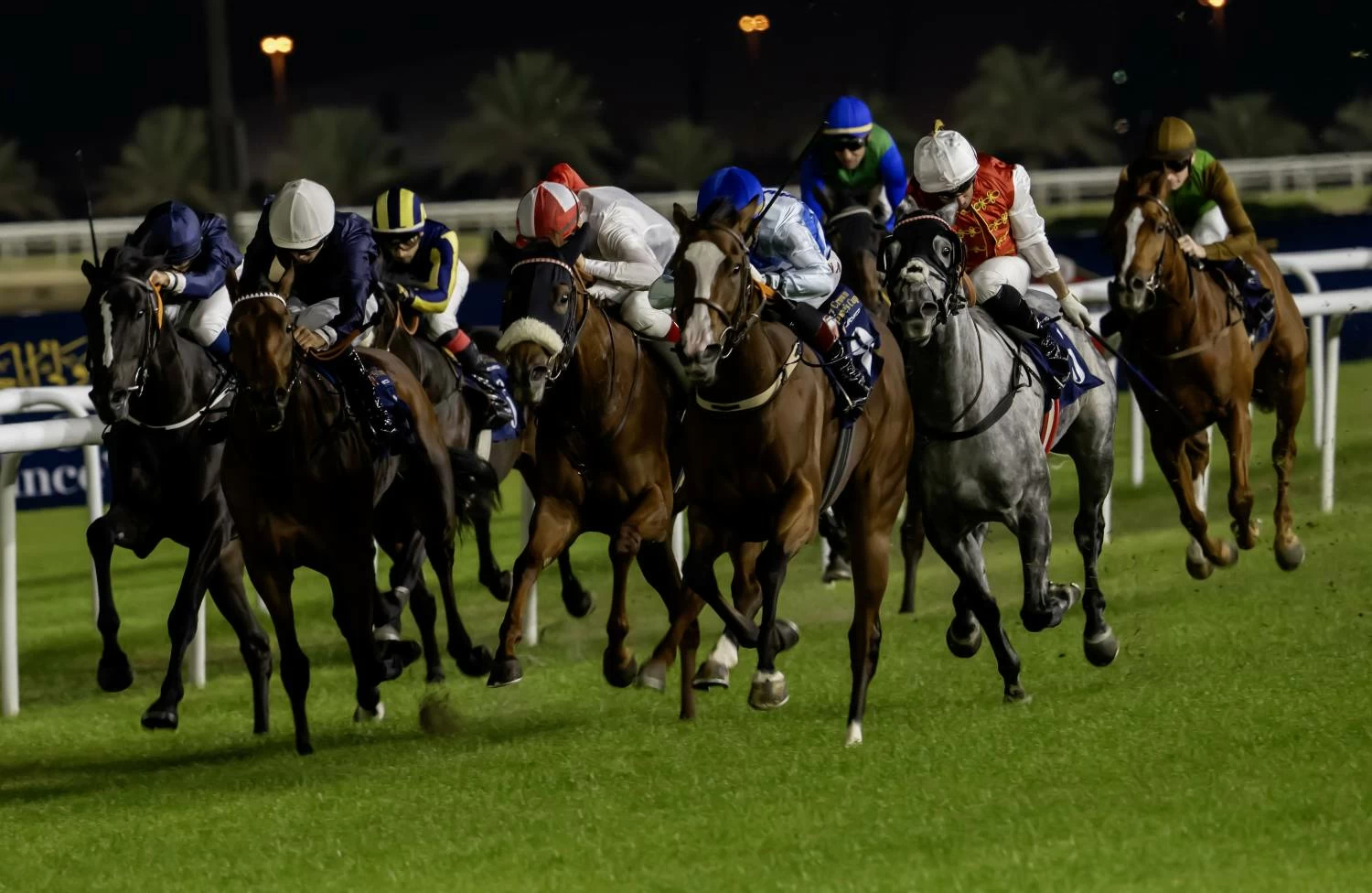 ترقب واسع لمهرجان كأس سمو ولي العهد&hellip; وسجل حافل للفائزين في تاريخ السباق