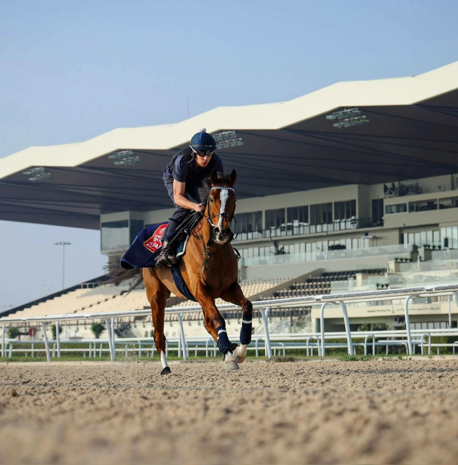 مهرجان كأس سمو ولي العهد على موعد مع مشاركات قوية وبرنامج جماهيري متكامل
