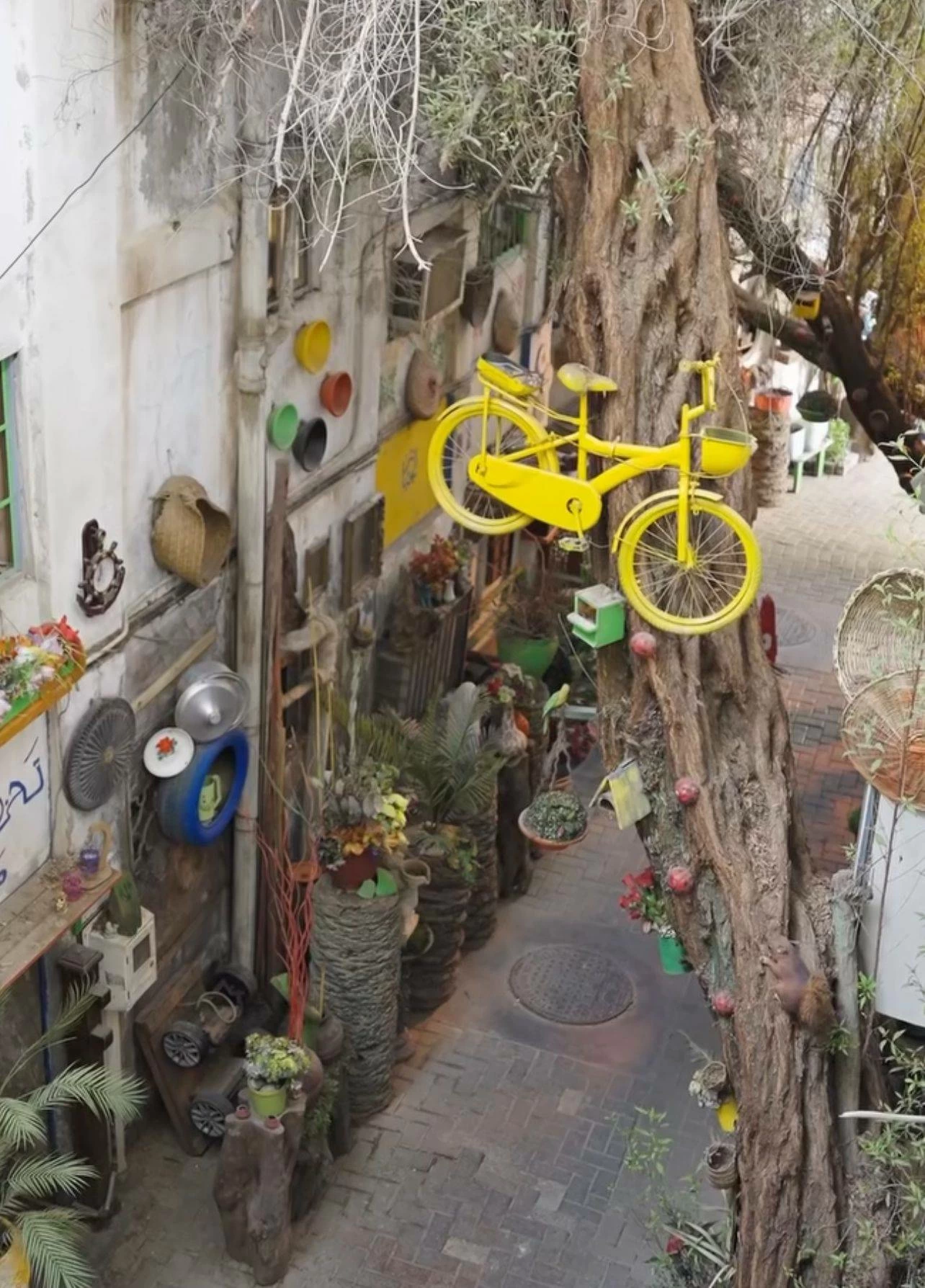 بمجهود شخصي.. بحريني يحول "داعوس "في المنامة إلى طريق ينبض بالحياة