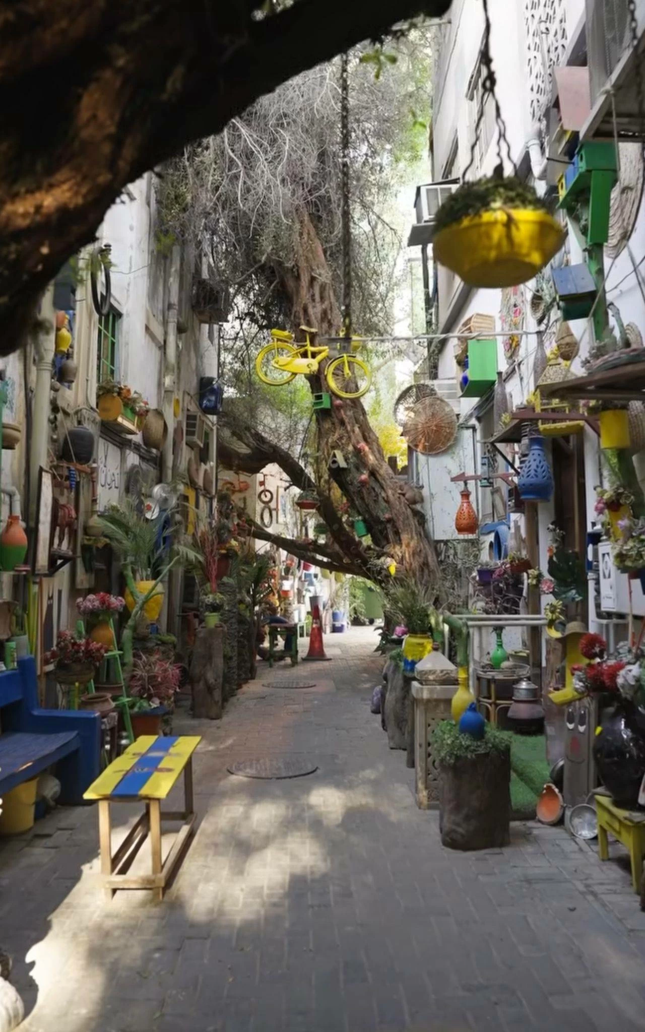 بمجهود شخصي.. بحريني يحول "داعوس "في المنامة إلى طريق ينبض بالحياة