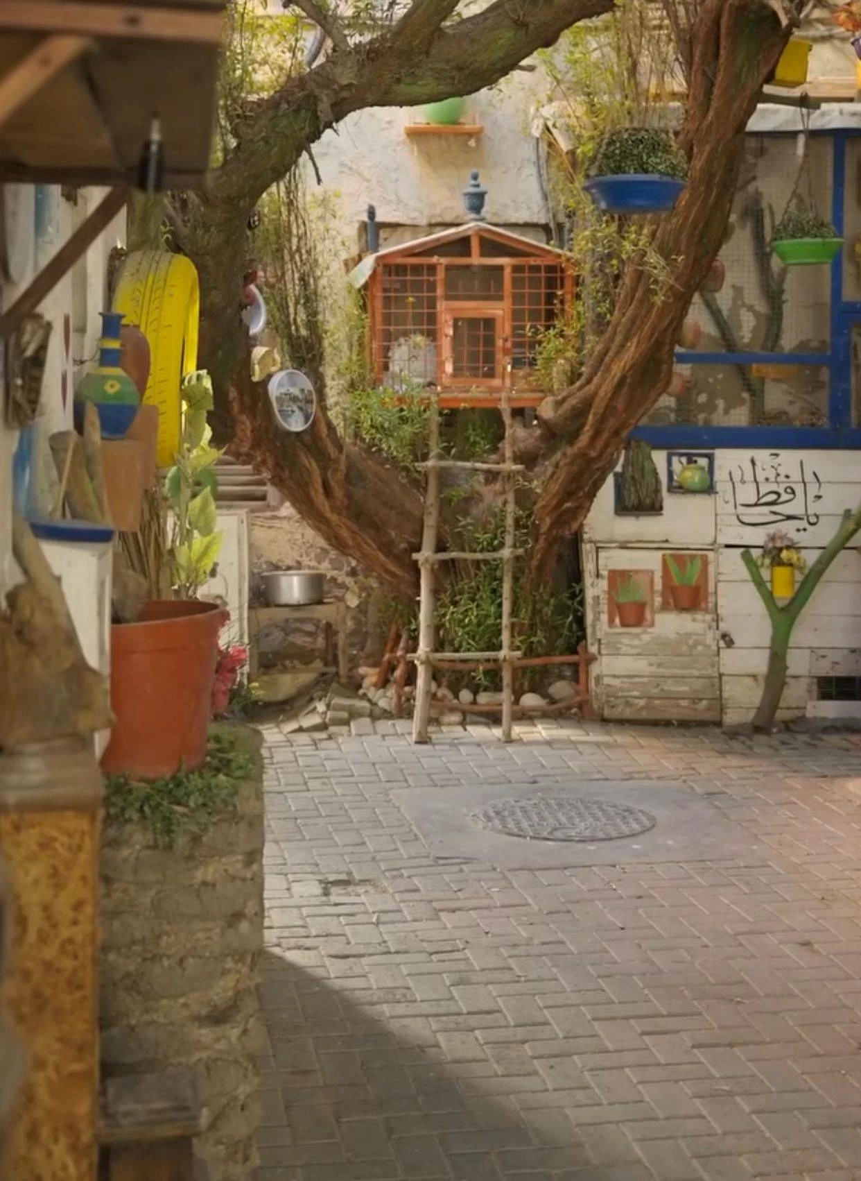 بمجهود شخصي.. بحريني يحول "داعوس "في المنامة إلى طريق ينبض بالحياة