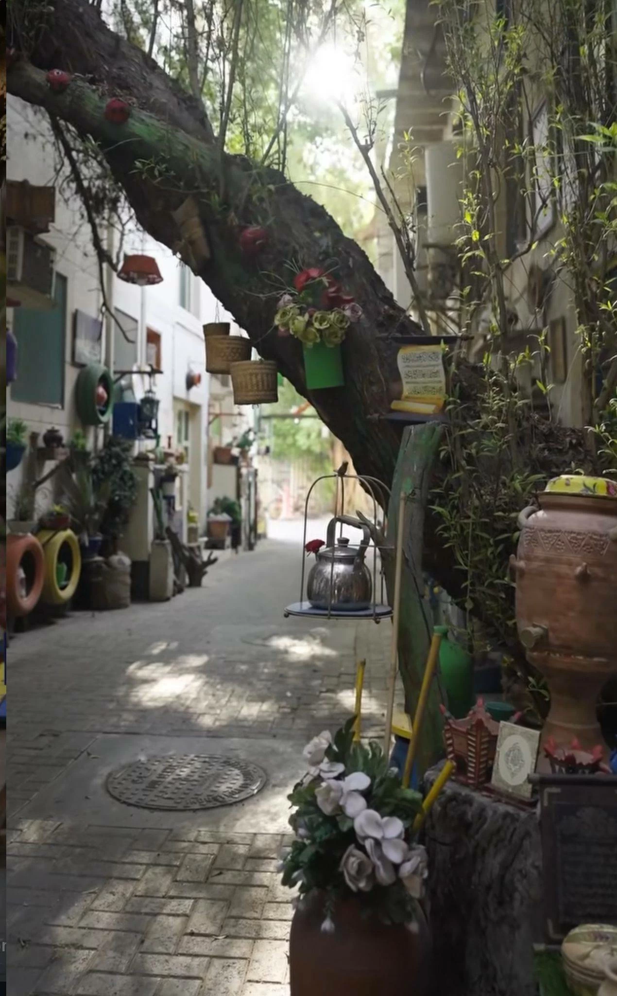 بمجهود شخصي.. بحريني يحول "داعوس "في المنامة إلى طريق ينبض بالحياة