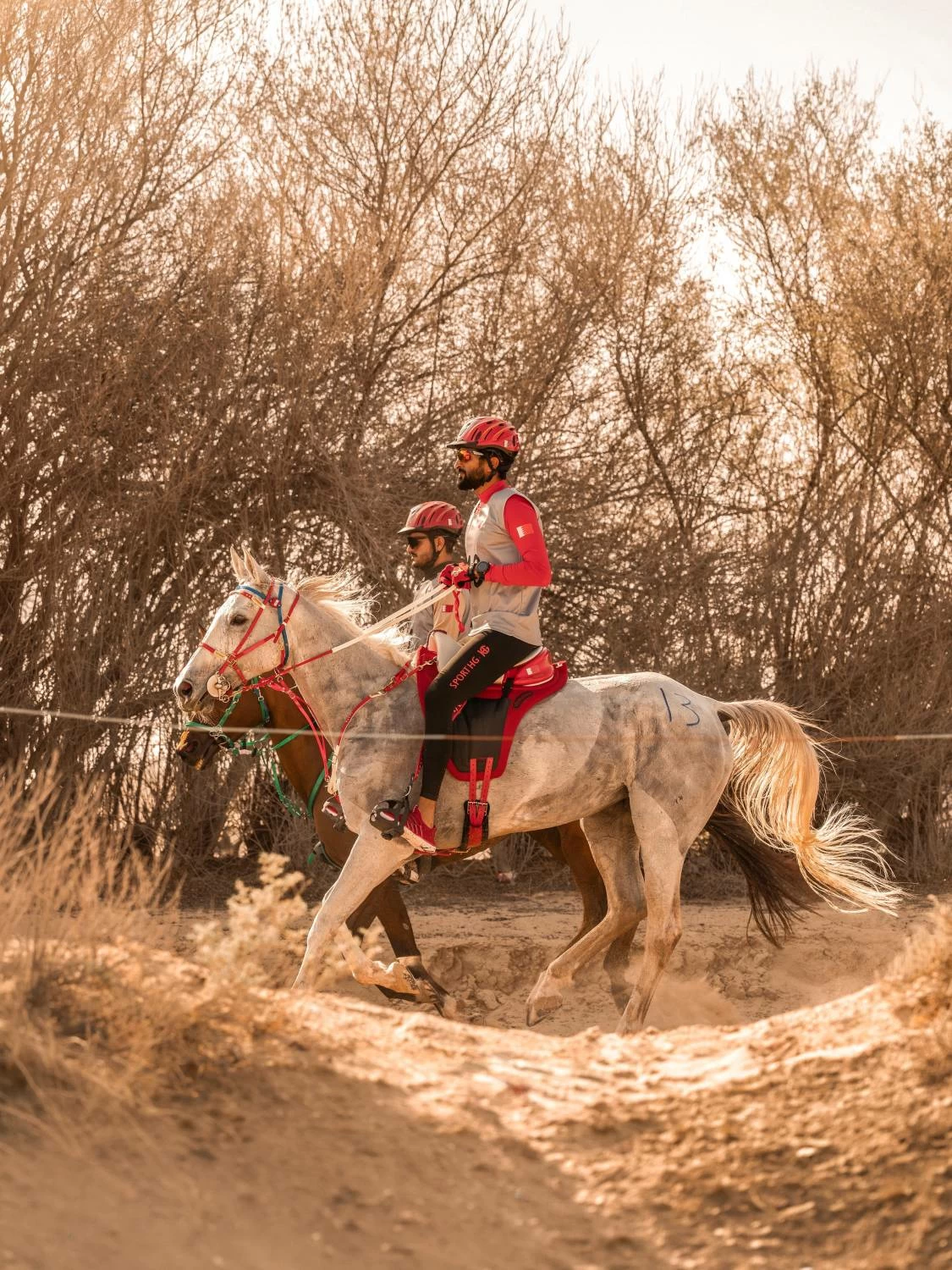 ناصر بن حمد يتصدر السباق الدولي التأهيلي للقدرة في دبي 
